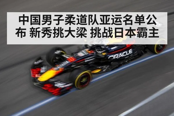 中国男子柔道队亚运名单公布 新秀挑大梁 挑战日本霸主